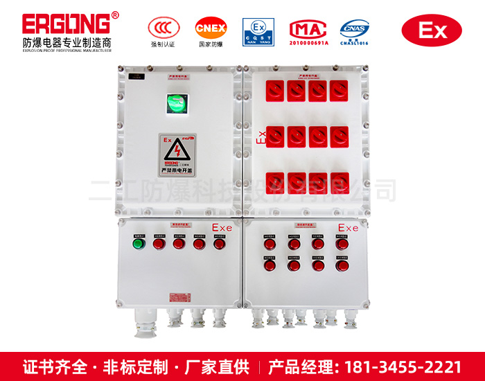 防爆配電箱-6