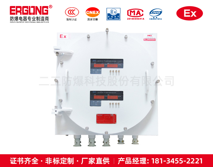 防爆儀表控制箱-8